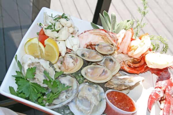 oysters