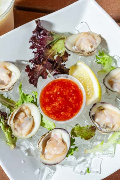 oysters