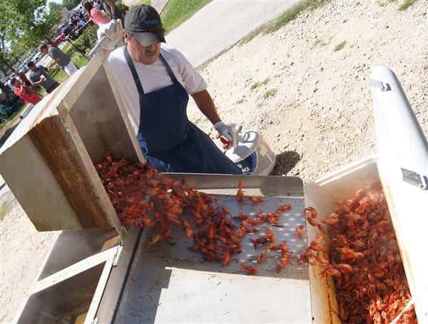 Photo of an employee dumping out a steamer of crawfish
