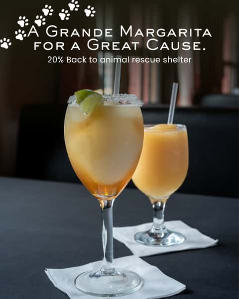 Go Grande for a great cause! 🍹💚 Enjoy our Grande Margarita, and 20% of every one ordered goes to an animal rescue shelter each month. Sip, savor & give back!
#GrandeMargarita #GiveBack #AnimalRescue