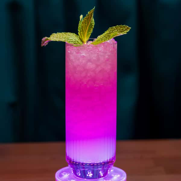 Lavender Delight