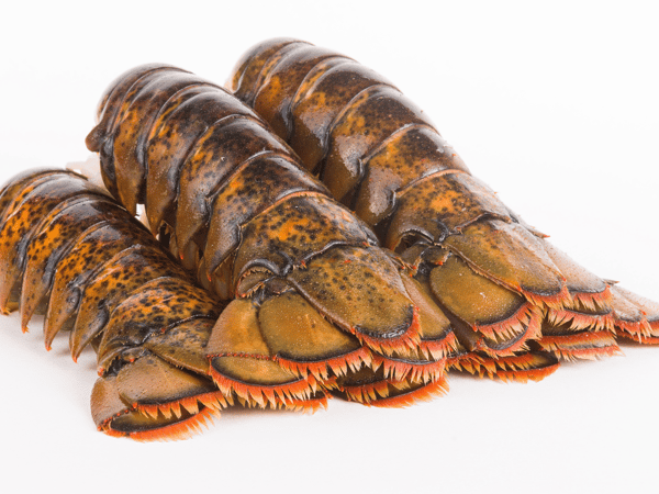 Cold-Water Lobster Tail