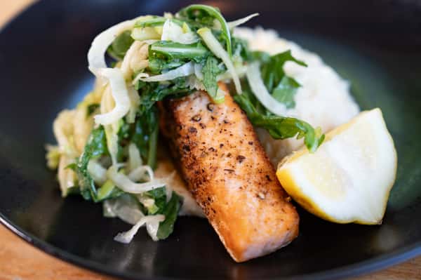 Salmon