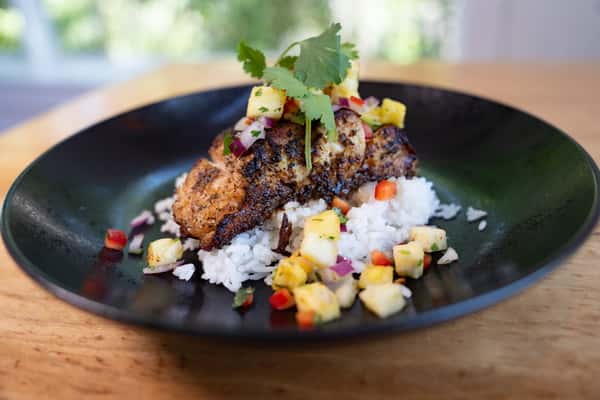 Barramundi