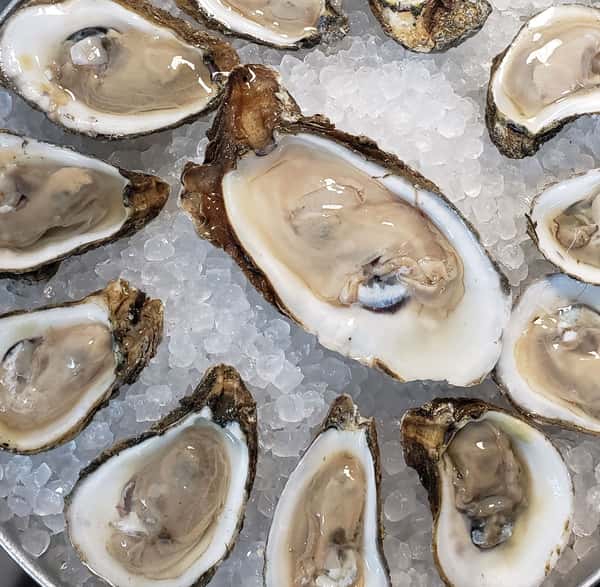 Oysters - Raw on the Half Shell