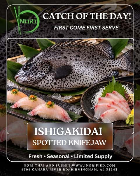 Meet Ishigakidai — Spotted Knifejaw, our Catch of the Day, served with the simplicity and care exceptional seafood deserves.
Available first come, first served while supplies last. Come experience today’s catch at NORI. For reservations 📞 (205) 970-7570. See you at📍 4704 Cahaba River Rd., Birmingham, AL 35243
#NORI #NORIThai #CatchOfTheDay #Ishigakidai #SpottedKnifejaw #FreshSushi #Sashimi #BirminghamEats #BirminghamFoodie