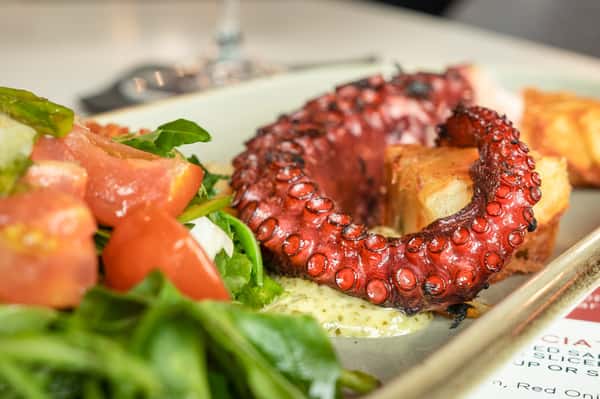 octopus entree