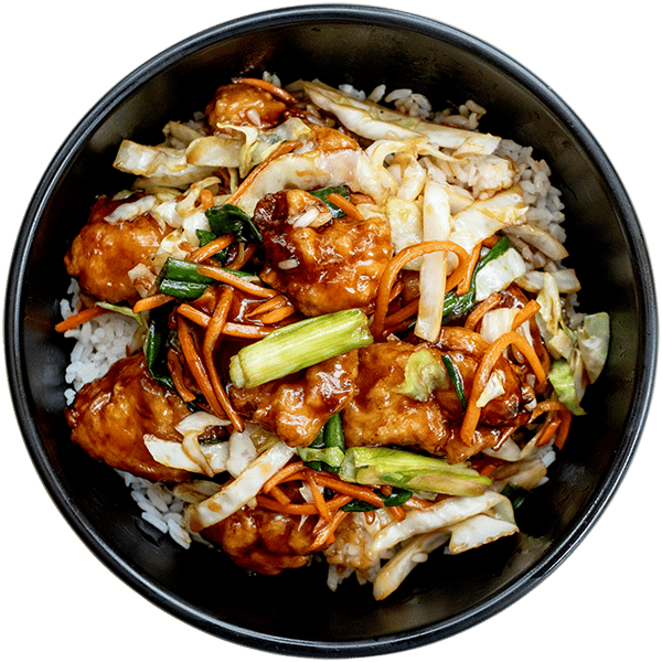 Japanese Teriyaki
