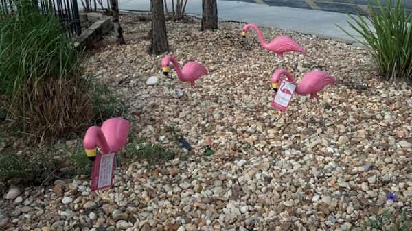 Flamingo lawn decoration