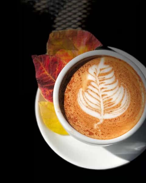 Skinny Vanilla Latte