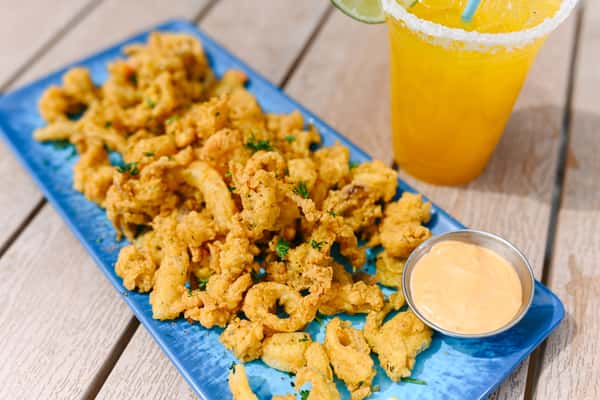 Fried Calamari
