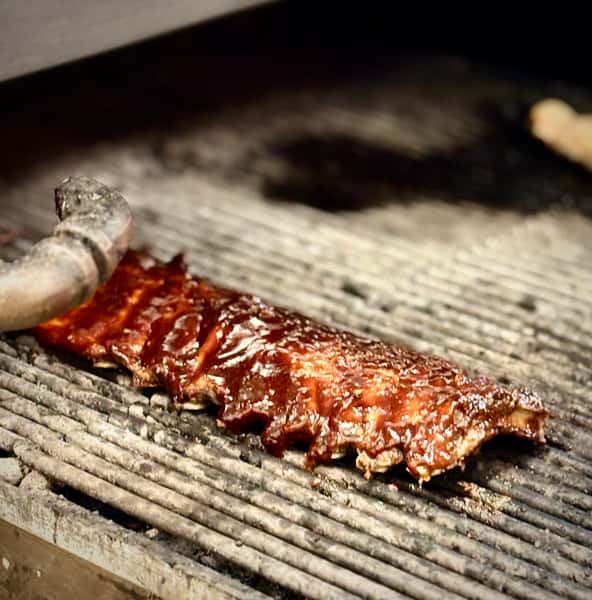 RIbs