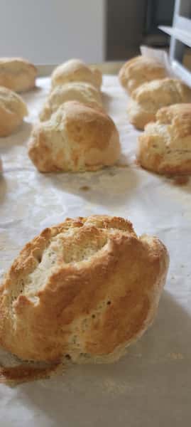 Breakfast Biscuit