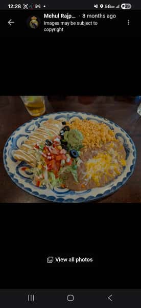 Veggie Chimi
