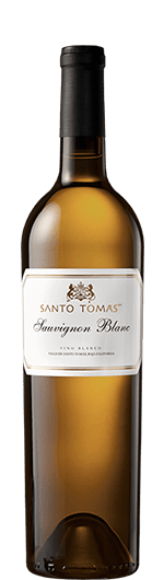 2019 Santo Tomas Sauvignon Blanc #12