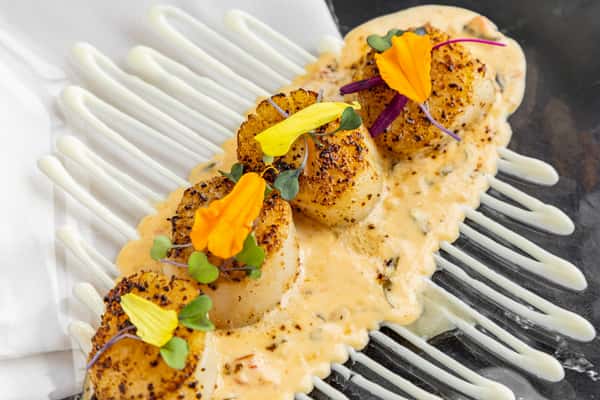 Sea Scallops