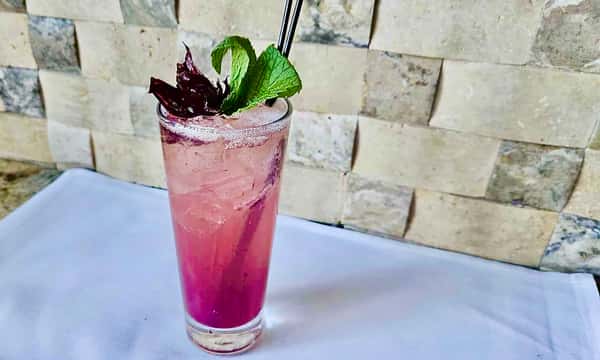 Blueberry Spritz Mocktail