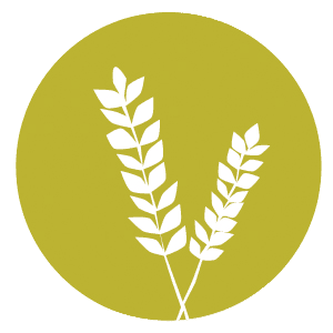 wheat icon