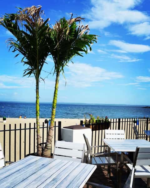White patio furniture near palm trees on a sunny beach, with a view of the ocean under a bright blue sky with scattered clouds.