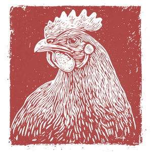 chicken illustration