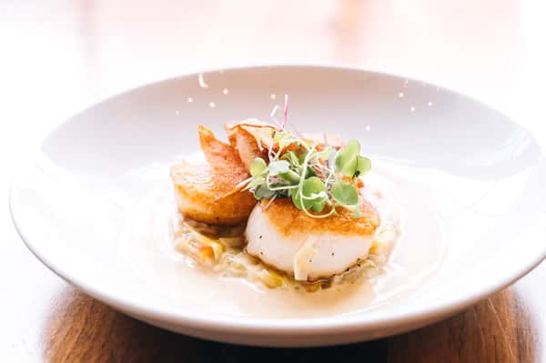 Scallops