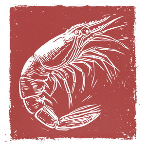 shrimp