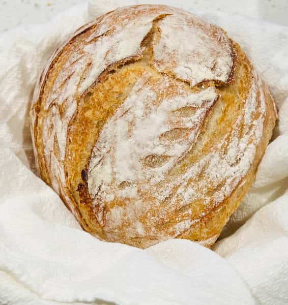 San Joaquin Original Sourdough Round (Regular)
