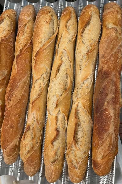 Sourdough Baguette