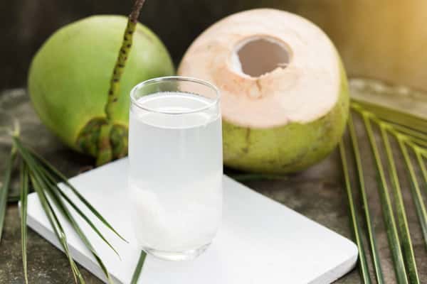 Bai Coconut Water drink