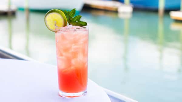 Coconut Watermelon Cooler