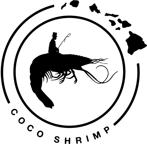 Coco Shrimp - Bryan Avenue