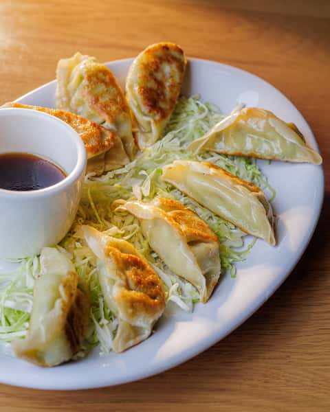 Chicken Dumplings