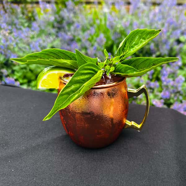 Mediteranean Mule