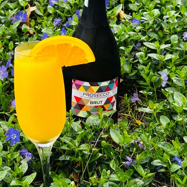 Mimosa