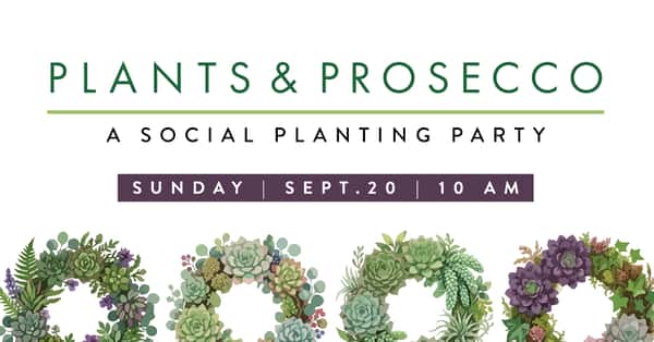 Planting Party
