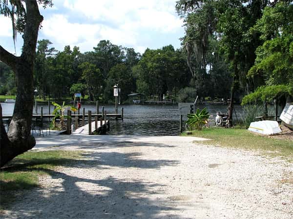 Path leading to a lake and dock