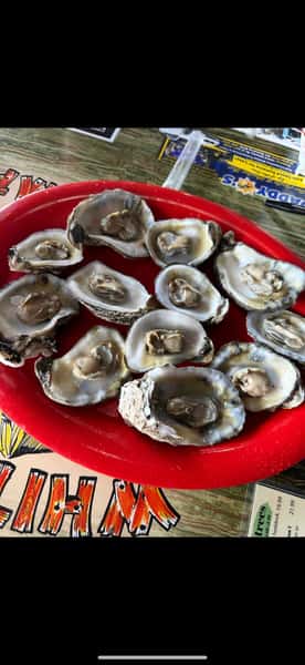 Oysters on the Half Shell