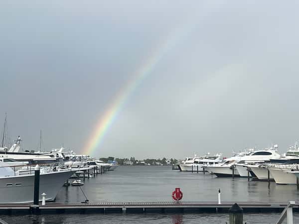 Rainy Rainbow