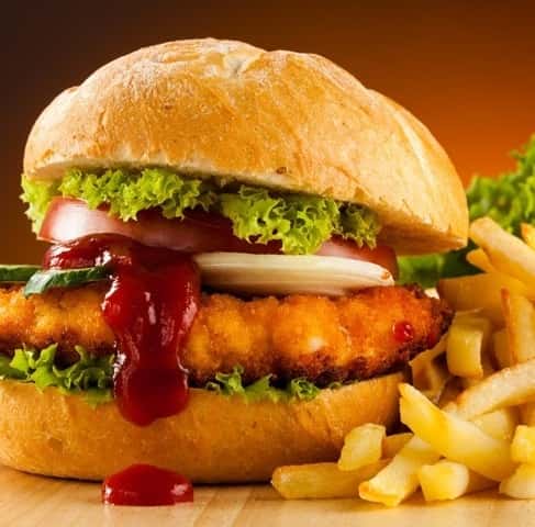 Burger w/ Fries (Soya & Vegan)