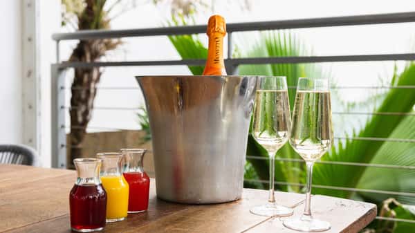 Mimosa Bucket