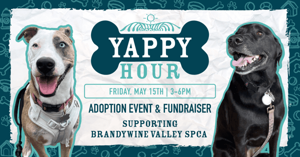 Yappy Hour adoption event at Big Chill Surf Cantina