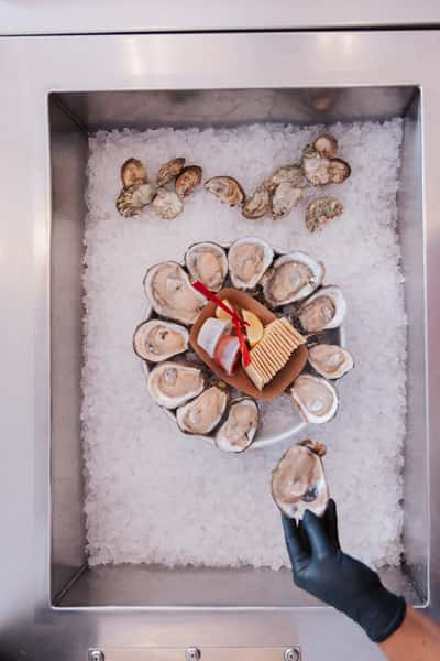oysters