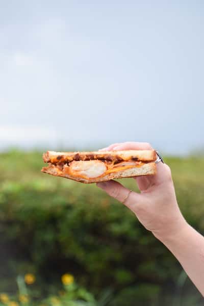 sandwich
