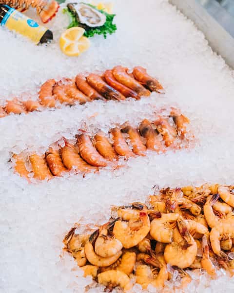 shrimp