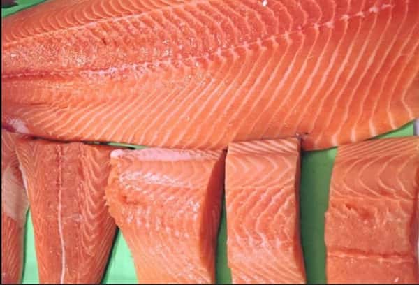 assortment of raw salmon