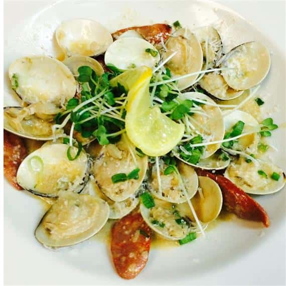 Clams and Mussels