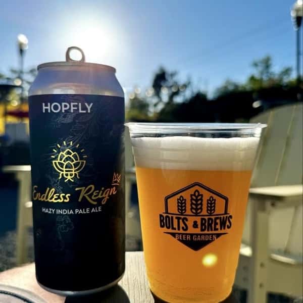 13. Endless Reign - Hazy IPA