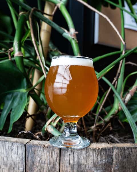 16. Under Lizard - New Zealand Imperial IPA