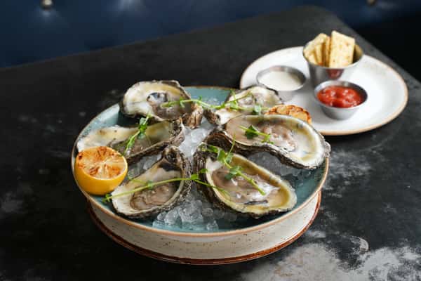 Gulf Oysters*