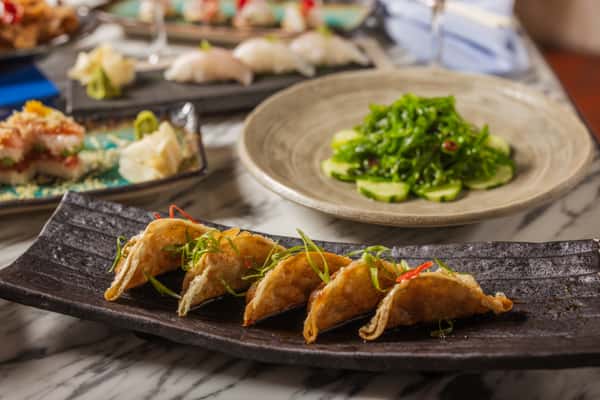 Chicken and Vegetable Potstickers